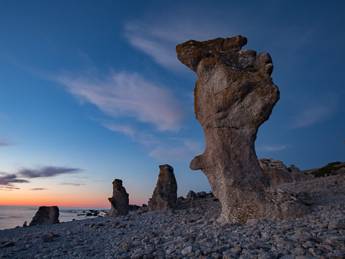 Fossiler på Gotland: Raukar är exempel på revkalksten. Foto: Jim Sundberg/GotlandNature.